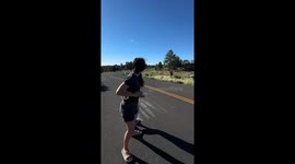 Elk charges family after scare attempt in Arizona, USA
