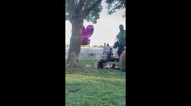 Sneaky street cat steals pizza from woman's birthday party in Istanbul park