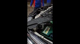 Owl Flies Out Of Car Engine