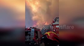 Wildfire Rages Unchecked Through Fir Forest Near Feneos