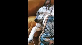 How He Beats the Heat