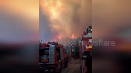 Greece: Out-Of-Control Wildfire Tears Through Remote Fir Forest In Korinthia  Feneos, Greece – A wildfire burning near Feneos in the region of Korinthia has grown out of control, according to local reports.  Fire crews are working urgently to build defens