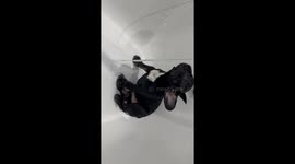 French Bulldog Puppy Bathtime