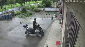 Out-of-control lorries crash into villager's yard nearly crushing him and his chickens