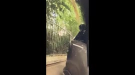 Suspect caught on CCTV 'smashing car window to steal bag' in London