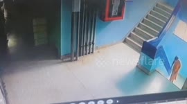 Grandmother, 76, injured in stair fall after startled by unleashed dog at apartment