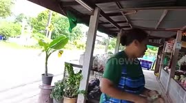 Panicked Thai family scrambles to evacuate after Cambodian rocket attacks