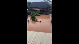 Hero neighbours save dog stuck in floods from typhoon