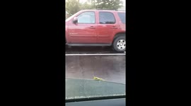 Ahhh Grasshopper. Doing what grasshoppers do.