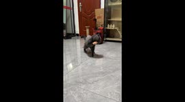 Cat hilariously struggles to remove rubber hand in Guangdong, China