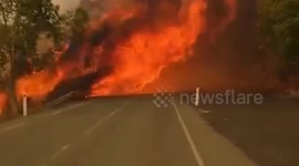 Cyprus: Forest fire in Southern Cyprus claims one life, prompts mass evacuations
