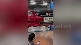 Mechanics save cat stuck in car engine