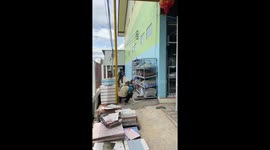 Factory worker catches monitor lizard and hurls it over fence