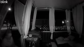 Doorbell camera captures woman's terrified reaction to a cat on porch