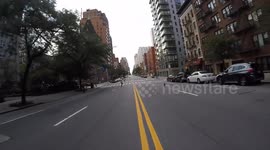 Countless New Yorkers Chase Runaway Dog