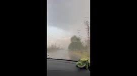 Storm Winds Spark Tree Branch On Electrical Wire
