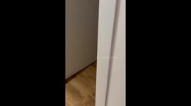 Boy gets frustrated while playing video game in Ohey, Belgium