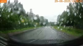Woman loses control of car on wet road and hits lorry hauling logs