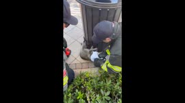 Late-Night Snack Run Ends in Raccoon Trash Can Rescue