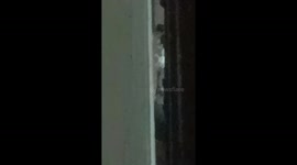 This is the little beings I saw peaking around the corner of my bedroom door