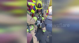 US: Firefighters Rescue Cat Using Oxygen With A Special Pet Mask During Camarillo Fire