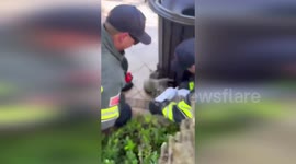 US: Firefighters Rescue Hungry Raccoon From Trash Can Trouble