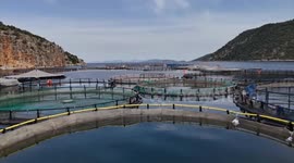 Greece: Greece's fish industry gets better accesses to Chinese market