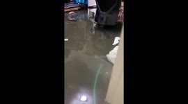 Can't miss that Zoom call! Woman carries on working from home in knee-deep floods