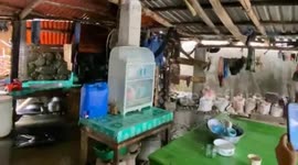 Waves crash into coastal home amid Typhoon Wipha onslaught
