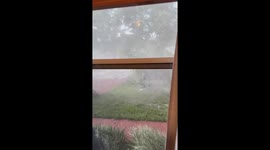 Strong gusts of wind sweep trees and branches in Arcadia, Florida, USA