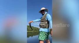 Bald eagle snatches fish seconds after it's thrown back into lake