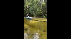 “Sweet swamp puppy” steals the show during paddle tour pause in Florida Springs