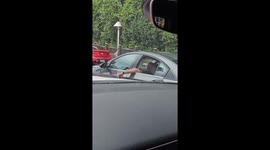 Bro Driving From the Backseat