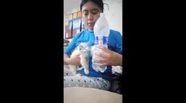 Homemade Nebulizer for Kitten's Medication