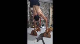 Cat chaos interrupts calisthenics athlete’s one-arm handstand, Ozzy soundtrack adds flair