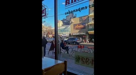 Dripped Out Dog Sits At Outdoor Table