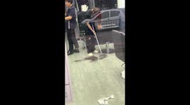 Barber shop intern hides hair under chair in Inner Mongolia, China