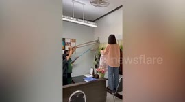 Terrified employees catch snake slithering on office window