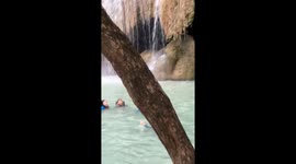 Swimmers panic as monitor lizard emerges in waterfall pool