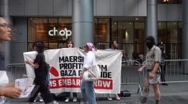 Pro-Palestine protest in NYC targets Maersk over alleged role in Gaza war