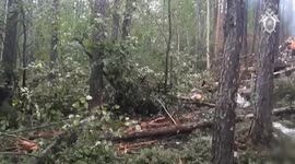 All 49 dead in Russia plane crash as search and rescue operations continue