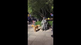 Dog appears leashed by statue in park in Zhejiang, China