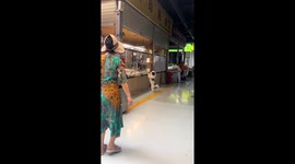 Poodle stands on hind legs to ask for food in Shaanxi, China