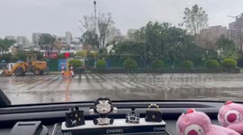 Bird balances on moving windshield wipers in Yunnan, China