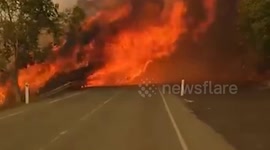 Forest fire in Southern Cyprus claims one life, prompts mass evacuations