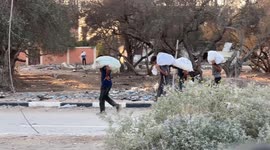 Palestinians walk miles to reach Gaza aid centers for limited flour