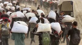 At least 4 Palestinians killed as Israeli forces target aid seekers in Gaza