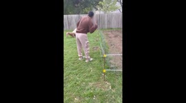 Dog’s surprise reaction to electric fence in Austin, Texas, USA