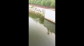 Military veteran rescues drowning woman from river in Anhui, China