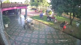 Bird clings to woman's head after falling from tree in Carapeguá, Paraguay